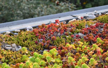 the cost of Great Carlton green roof installation