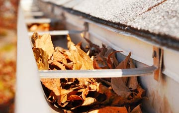 Great Carlton gutter cleaning companies