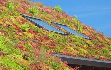 Great Carlton living roof systems