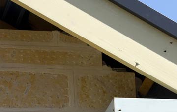 soffit repair Great Carlton